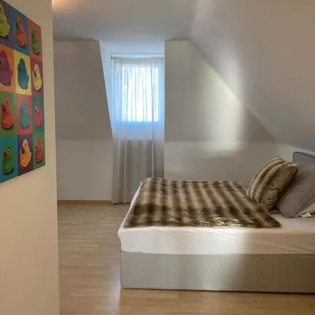 Geisbergblick Im Aignerhof Appartement *